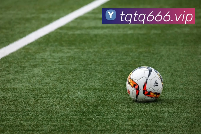 kaiyun - 开云(中国)官方网站 - KAIYUN.COM服务体系